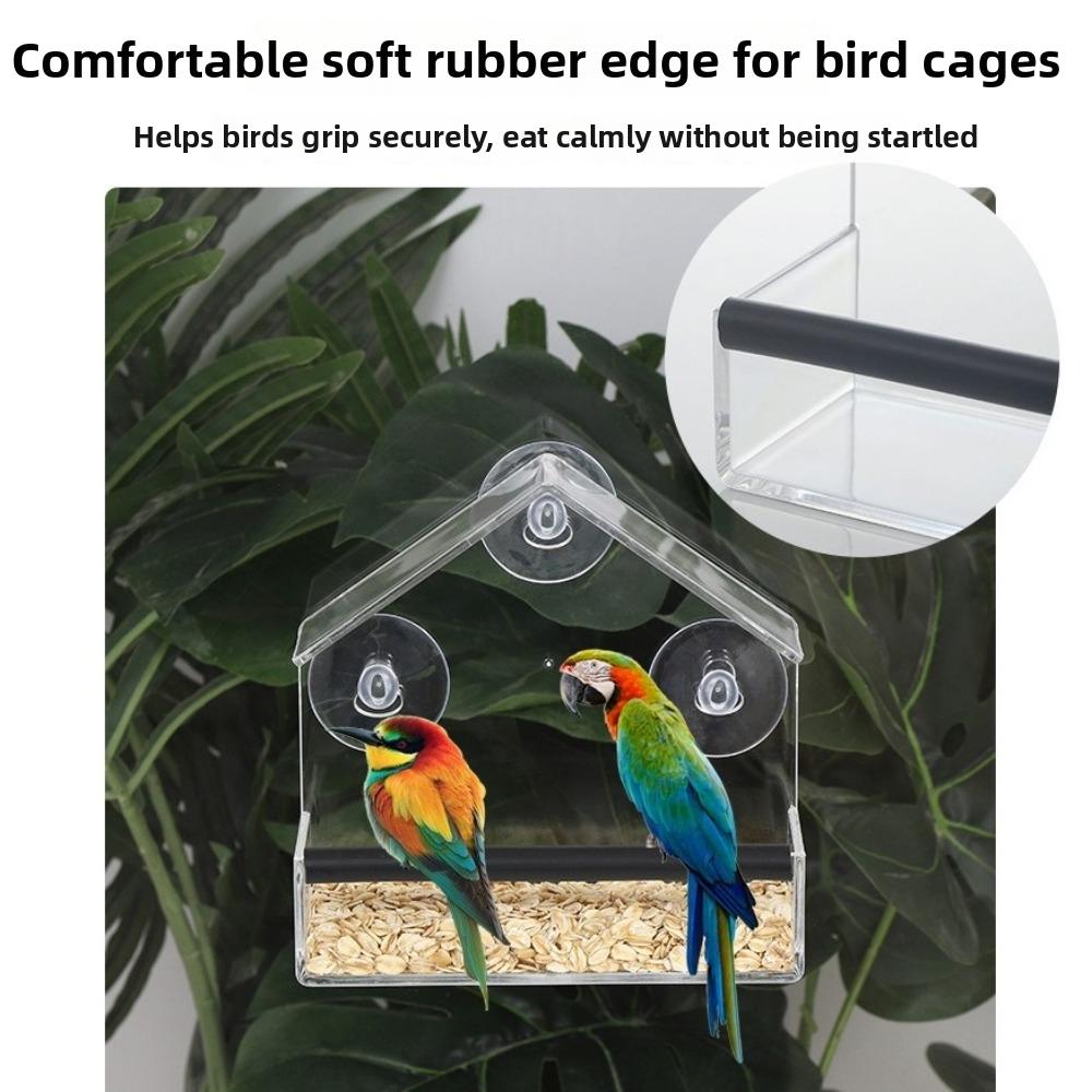 Tool-Free Bird Feeding Bowl Dual Seed Tray Wild Birdfeeder New Window Bird Feeder Bird Viewing