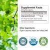 Organic Ginkgo Biloba 1400mg - Brain Function, Memory & Concentration, Non-GMO