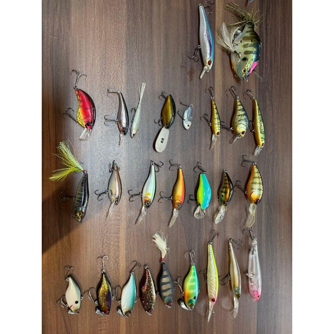 Used bass lure