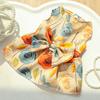 Spring/Summer Dog Skirt Cat Pet Clothing Teddy Dou Bi Bear Cat Supplies Dog Clothing Clothing