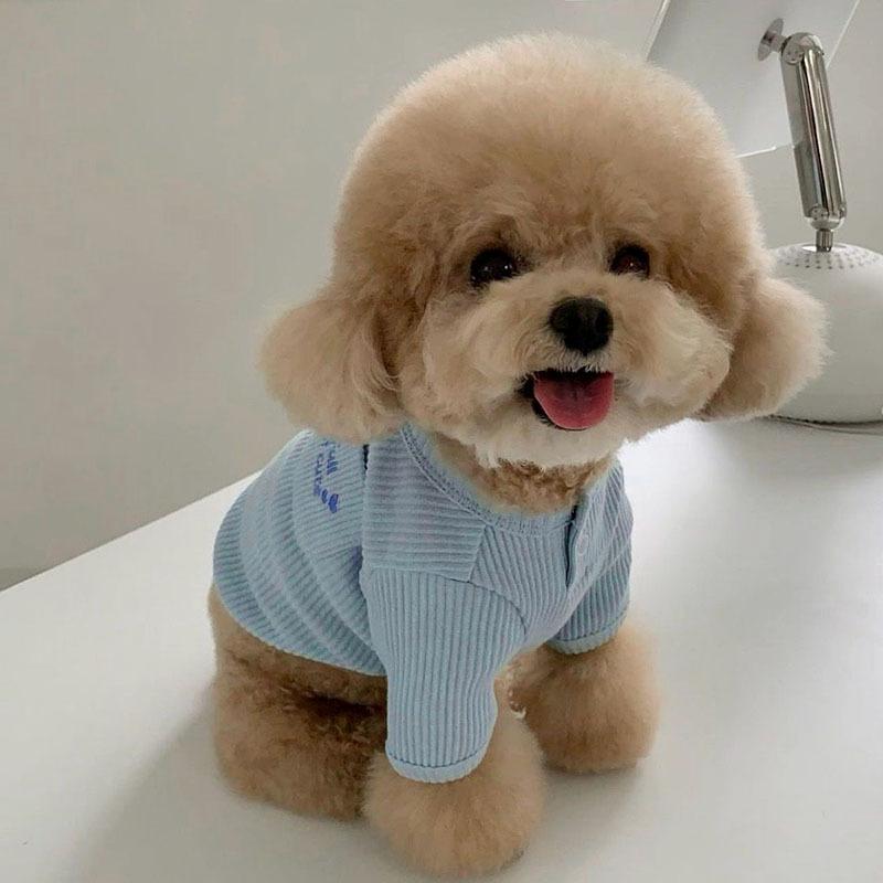 Autumn pet Teddy Bichon Pomeranian Maltese Yorkshire terrier small dog dog clothes autumn