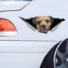Border Terrier Car Stickers, Waterproof Pvc Animal Decals With 3D Effect, Block Scratches and Increase Fun Auto Parts