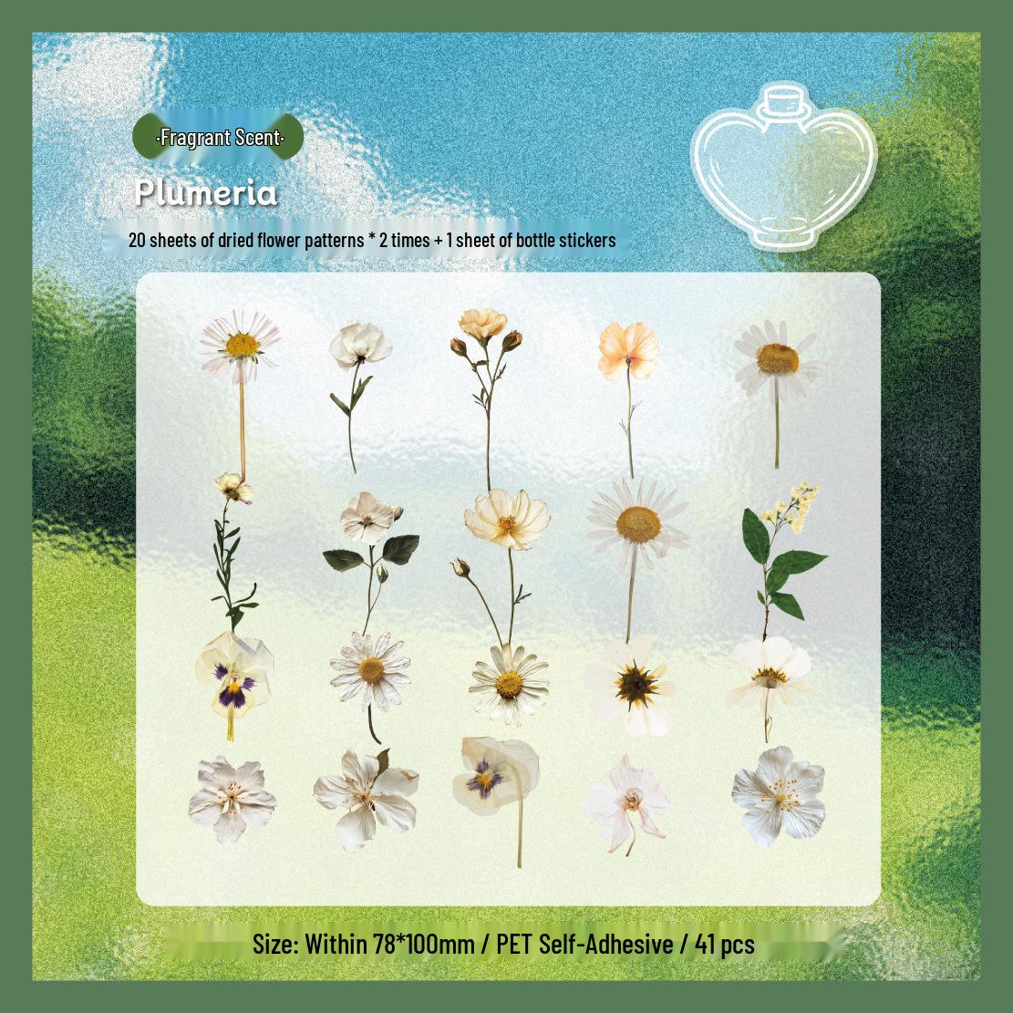 Handmade Transparent Plant & Flower Stickers for Creative DIY and Journaling