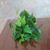 1Pc Artificial Plant Greenery Leaf DIY Garden Stage Party Wedding Festival Decor