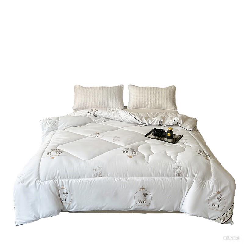 LISM All-Season Thickened Warm Duvet