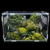 Transparent Acrylic Amphibian Insect Reptile Breeding Feeding Box with Air Holes Lightweight Feeding Case Pet Products for Snake
