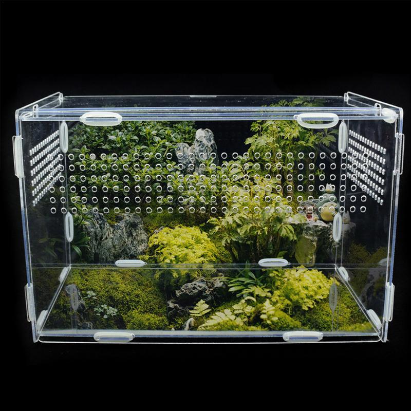 Transparent Acrylic Amphibian Insect Reptile Breeding Feeding Box with Air Holes Lightweight Feeding Case Pet Products for Snake