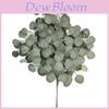 Artificial Eucalyptus Flower Arrangement Decor With Painted Leaves For Home And Event Use