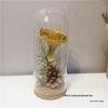 Ginkgo Leaf Plant Specimen - Pressed Flower Material for Handmade Projects & Desktop Decor
