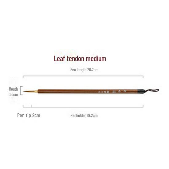 Wolf and Goat Hair Brushes for Primary School Calligraphy – Large, Medium, Small Solid Wood Brushes