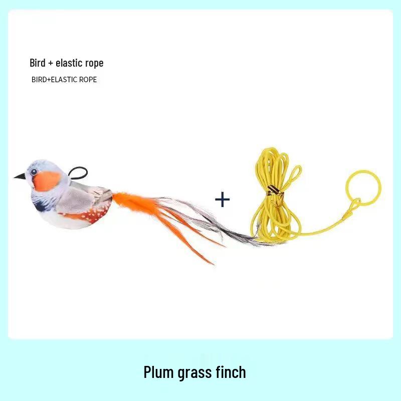 Kätzchen Zahnen Feder Reizspielzeug - Kratzfest & Selbstbeschäftigung Langeweile Vertreibung