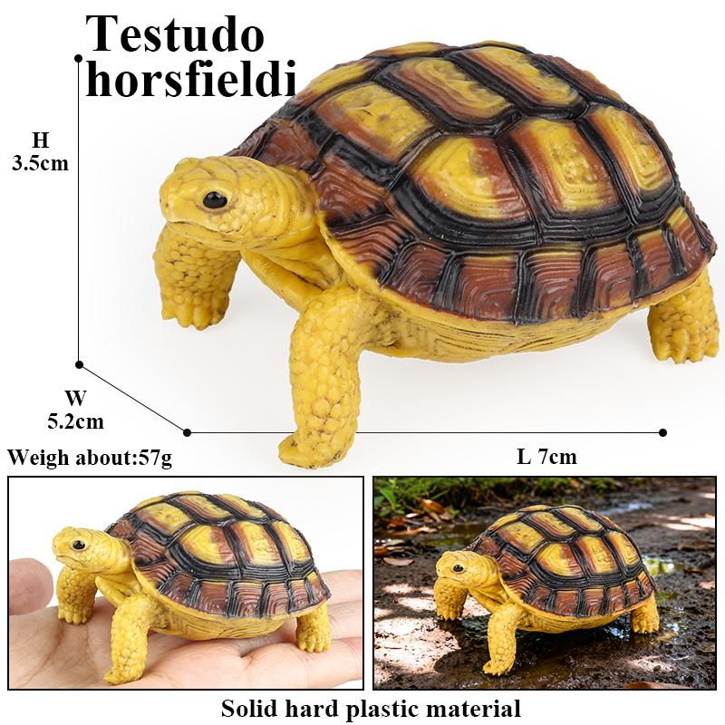 Oenux Reptile Animals Star Turtle Tortoise Geochelone Model Figurines Action Figures PVC Ornament Education Kid Toy Gift