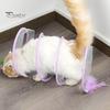 Soft with Feather Interactive Toy Foldable Tunnel Kitten Tunnel Teaser Cat Channel Tube Pet Toy