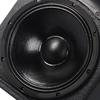 SHILE BM-12 12-inch Professional Stage Speakers (Pair)