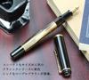 Pelikan Classic M200 Fountain Extra Fine Nib Marble Genuine Imported Product Pen, (EF), Brown,
