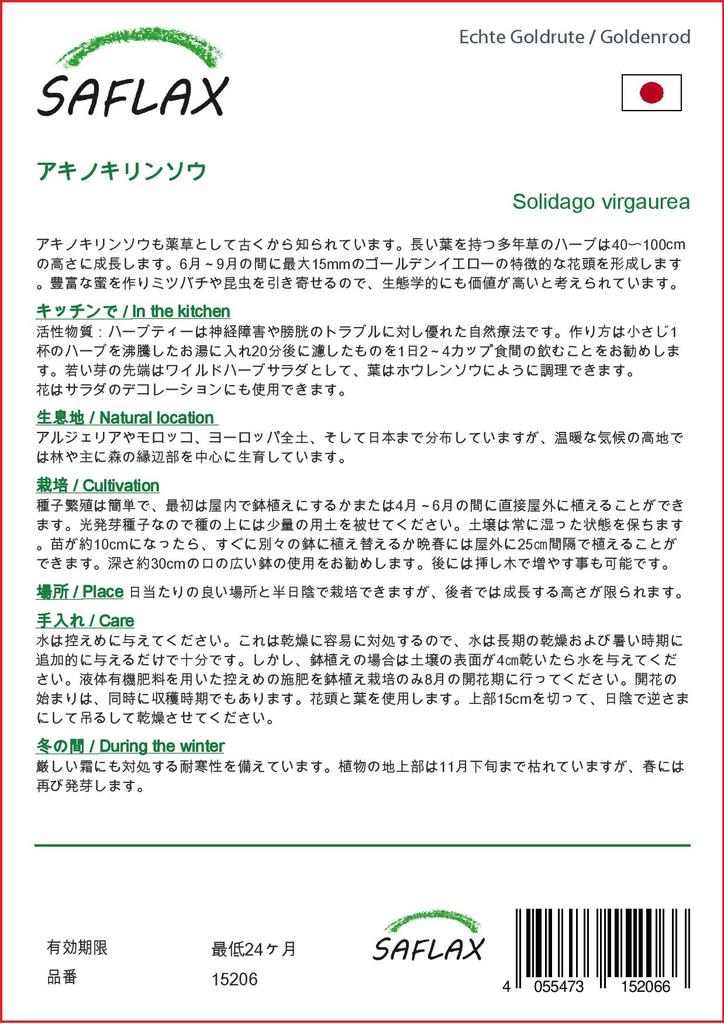 SAFLAX Zahrada v pytli - Zlatobýl - 100 semen - Se substrátem v přiléhavém sáčku - Solidago virgaurea