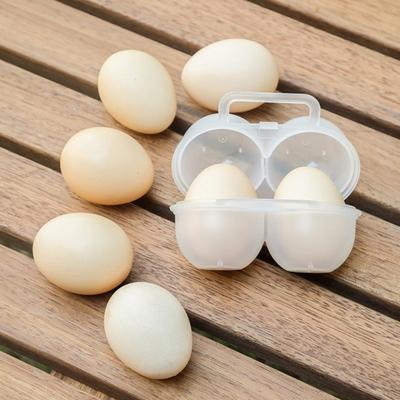 Egg Box Portable with Handle Shockproof Anti-drop 2 Grids Special Egg Container Plastic Egg Tray Daily Use