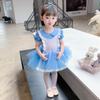 Šaty pohádkové princezny: Alice Bell Načechraná tyllová sukně Baletní kostým pro dívky - Letní trikotový taneční outfit