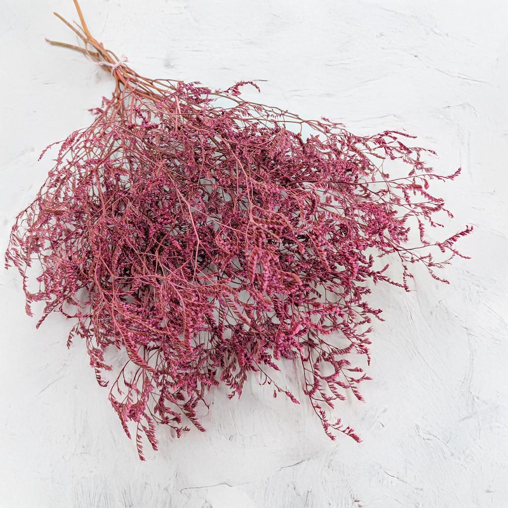 Zatrwian Szerokolistny Essiccato - Limonium Latifolium - Colorato - Rosa