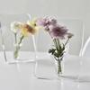 Acrylic Vase Frame: Minimalist Transparent Photo Holder & Flower Arrangement Gift