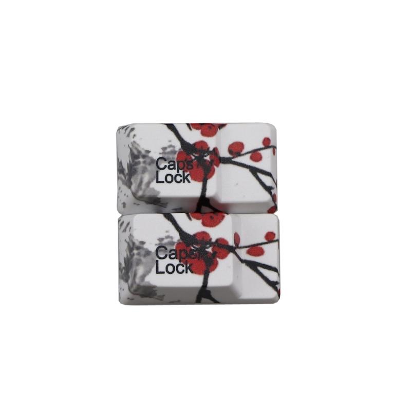 110 kláves OEM profil DYE-Sub Květinová švestka PBT Keycap Sublimační tisk s 1,75U 2U Shift 6,25U Mezerník