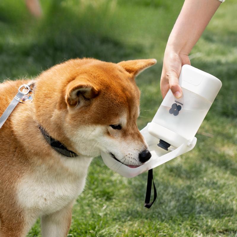 

Бутылка для воды для домашних животных для собак и кошек. Портативный, удобный, безопасный, безвкусный, герметичный диспенсер для питьевой воды на ходу.