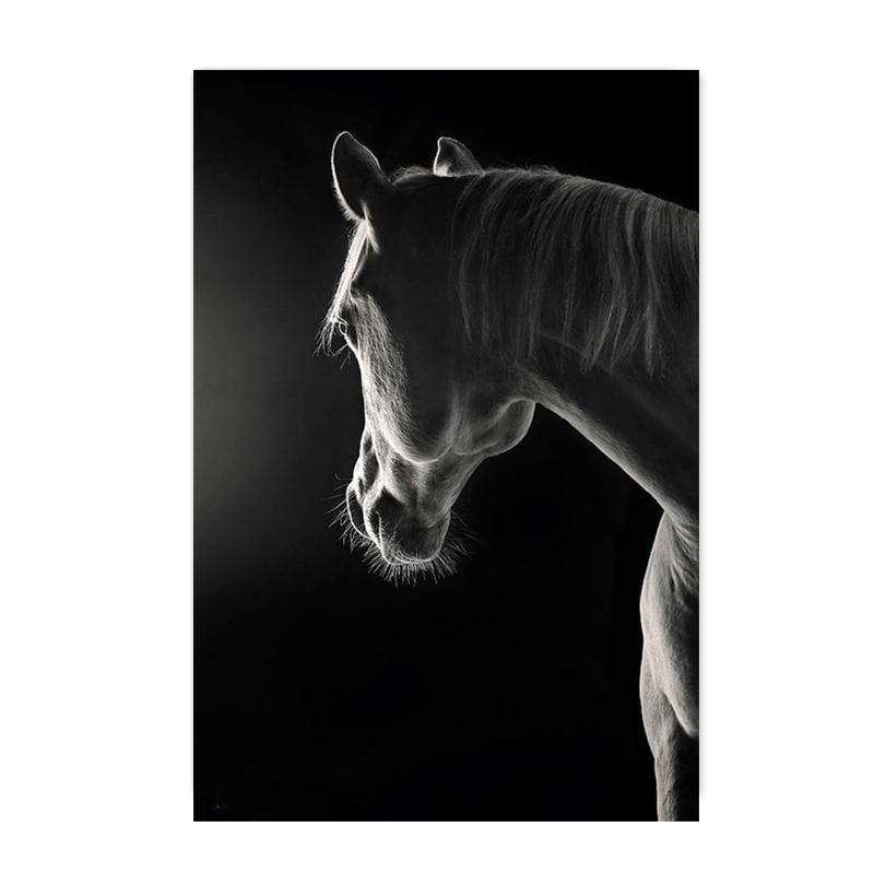Moderne Tier Pferd Kunst Leinwand Malerei Poster und Drucke Abstrakte Wand Kunst Bilder für Wohnzimmer Hause Dekoration Cuadros