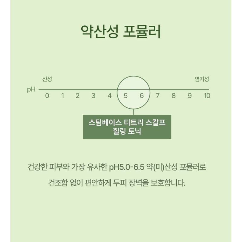 STEAMBASE - Tea Tree Scalp Healing Tonic