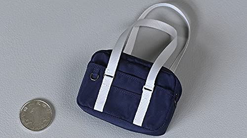 

figure school girl JK school bag and clothes not [TOYBARJAPAN] 1/6 accessories/high (doll included)