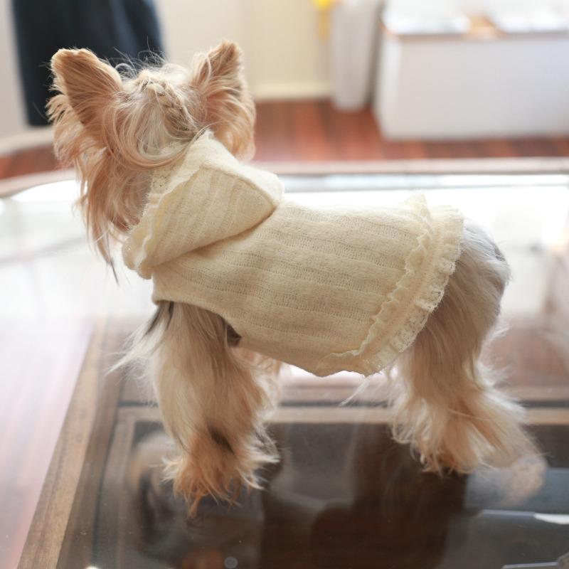 

Luxury Dog Clothes Autumn Winter Dog Clothing Pet Small Dogs Stuff Costume Accessories Puppy Kitten Cats Pets Hoodie Supplies XS