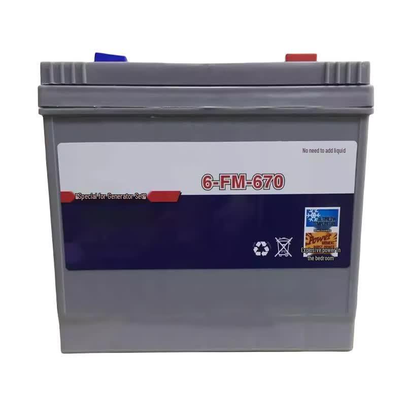 Maintenance-Free Generator Battery