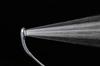 SANEI Rainy Metallic Black Shower Head (PS-303-81XA-CD) with Stop Function, Saves Approximately 50% of Water