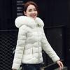 Artificial Raccoon Fur Collar Winter Jacket Women Winter and Autumn Wear High Quality Parkas Outwear Women Coats
