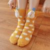 Cute Japanese Soft Comfortable Breathable For Christmas Female Socks Coral Velvet Medium Tube Socks