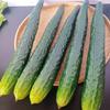Soft PU Artificial Cucumber Simulation Cucumber for Home Decoration Basket Display Photography Kitchen Vegetable Toy