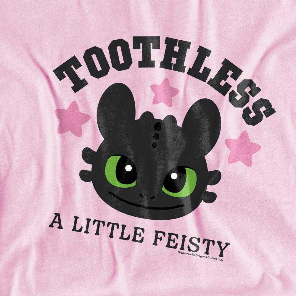 How To Train Your Dragon Childrens/Kids A Little Feisty Toothless T-Shirt