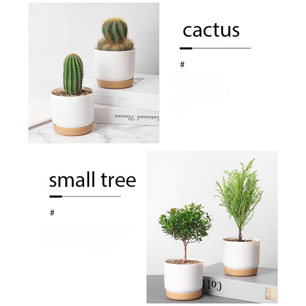 Double-layer Round INS Style Flowerpot Flower Planter Succulent Planter Pot Garden Supplies