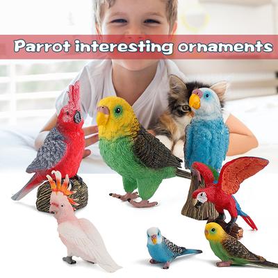 Statische Vogel-Aras-Papageien-Modellfiguren für die Sammlung, Bildung und Dekoration