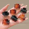 Dual-Use Ear Acupoint Beauty & Mini Hair Clip for Half Ponytail & Stray Hair