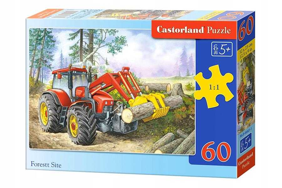 Puzzle 60 Pieces B-06601-1 Forest Site