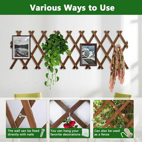 Outdoor Anti-corrosion Retractable Wood Fence for Climbing Vine and Garden Decoration.