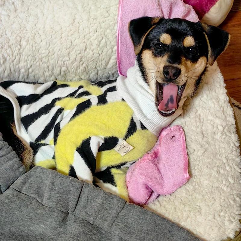 Turtleneck Pet Sweater Autumn and Winter Comfortable Thicken Soft Dogs Jacket Warm High Quality Pets Products Supplies