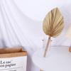 Wedding Decor Office Tropical Natural Trimmed Boho Fan Leaf Dried Plant Leaves Palm Spears