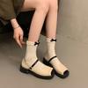 Mary Jane Shoes Female One Word Buckle with Thick Heel Shallow Mouth Single Shoes Female Retro Heightening Shoes