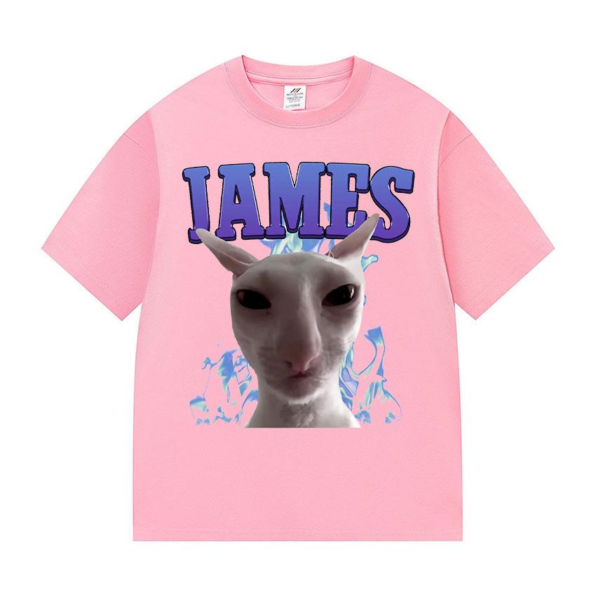 James IAMES Funny Cat Meme Tshirts Stupid Joke Gifts Cat Lover short sleeve tshirt Unisex Women fashion Oversized Cotton T Shirts