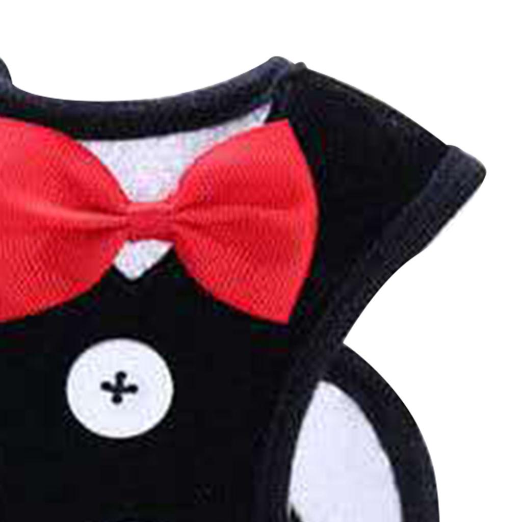 Dog Harness Leash Bow Tie Breathable Comfortable Durable Dog Harness and Leash Set for Walking