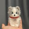 Uroczy Modny Twist Stick Piesek DIY Torba z Materiałami Ręcznie Robiona Pluszowa Lalka Dziewczynka Mały Prezent Shiba Inu Husky Ręcznie Robiona Torba z Materiałami