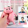 Cute Squishy Pig Stress Relief Pig Squeeze Toys to Anxiety, Funny Stretch Animal Splat Toys for Autism & ADHD Decompression Toy