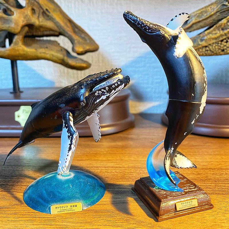 Japan Sea Creature Special Edition Gashapon Shark Dolphin Turtle Humphead Wrasse Statue Action Figure Model Toys