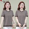 Woodpecker Women's Striped Cotton Blend Short Sleeve T-Shirt
